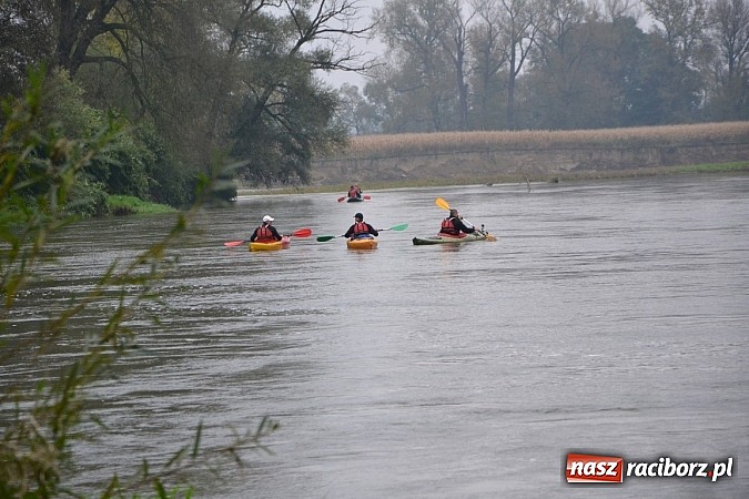 Zdjęcie w galerii na portalu naszraciborz.pl: Meandry Odry oficjalnie zamknięte. Do wiosny wiadomości z regionu