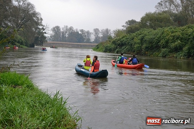 Zdjęcie w galerii na portalu naszraciborz.pl: Meandry Odry oficjalnie zamknięte. Do wiosny wiadomości z regionu