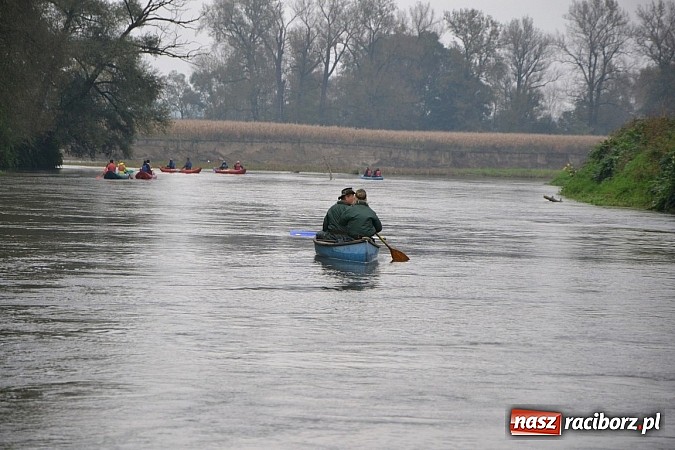 Zdjęcie w galerii na portalu naszraciborz.pl: Meandry Odry oficjalnie zamknięte. Do wiosny wiadomości z regionu