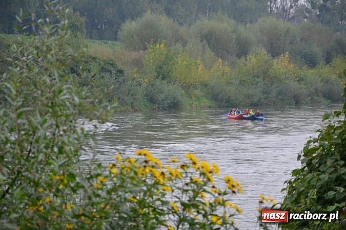 Zdjęcie w galerii na portalu naszraciborz.pl: Meandry Odry oficjalnie zamknięte. Do wiosny wiadomości z regionu