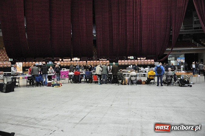 Zdjęcie w galerii na portalu naszraciborz.pl: Kolekcjonerzy spotkali się w Spodku wiadomości z regionu