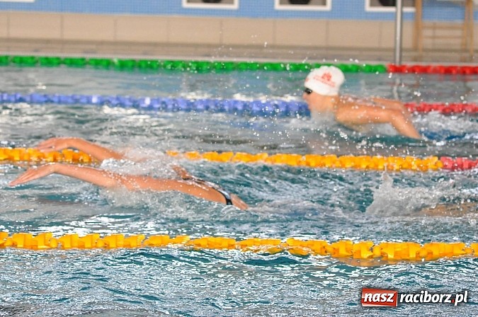 Zdjęcie w galerii na portalu naszraciborz.pl: Puchar Sprintu na krytej pływalni SMS-u wiadomości z regionu