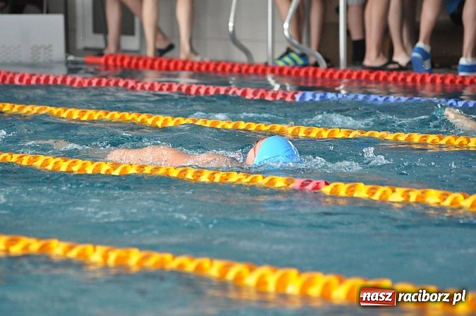 Zdjęcie w galerii na portalu naszraciborz.pl: Puchar Sprintu na krytej pływalni SMS-u wiadomości z regionu