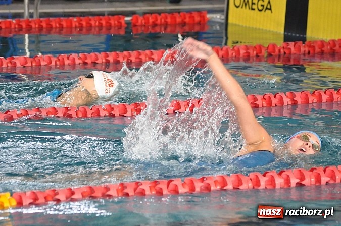 Zdjęcie w galerii na portalu naszraciborz.pl: Puchar Sprintu na krytej pływalni SMS-u wiadomości z regionu