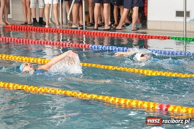 Zdjęcie w galerii na portalu naszraciborz.pl: Puchar Sprintu na krytej pływalni SMS-u wiadomości z regionu