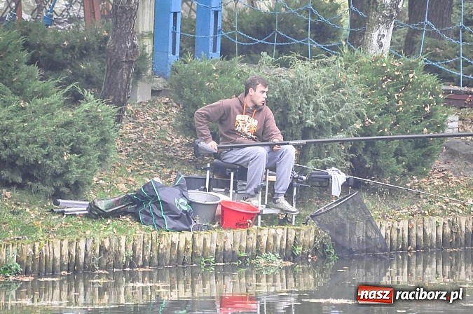 Zdjęcie w galerii na portalu naszraciborz.pl: Na stawie przy Aquabraxie odbyły się zawody wędkarskie wiadomości z regionu