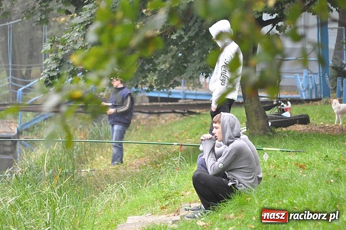 Zdjęcie w galerii na portalu naszraciborz.pl: Na stawie przy Aquabraxie odbyły się zawody wędkarskie wiadomości z regionu