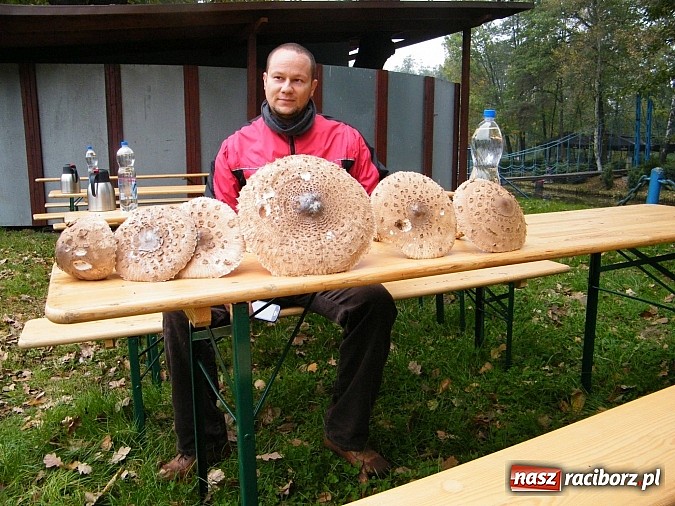 Zdjęcie w galerii na portalu naszraciborz.pl: Na stawie przy Aquabraxie odbyły się zawody wędkarskie wiadomości z regionu