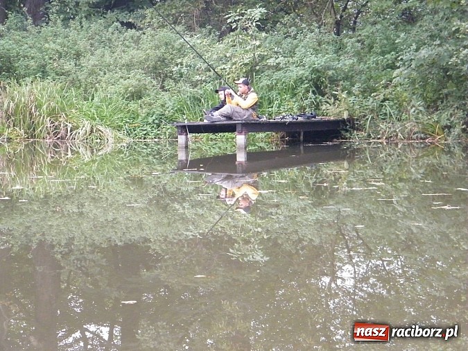 Zdjęcie w galerii na portalu naszraciborz.pl: Na stawie przy Aquabraxie odbyły się zawody wędkarskie wiadomości z regionu