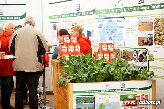 Zdjęcie w galerii na portalu naszraciborz.pl: Beet Europe – unikat na skalę światową wiadomości z regionu