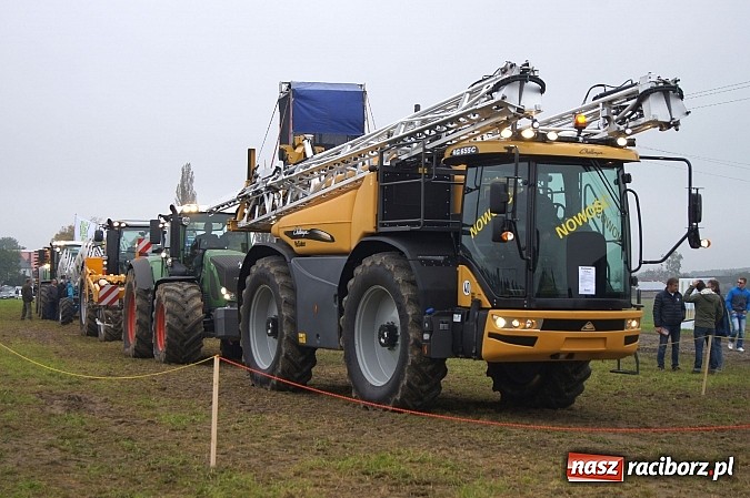 Zdjęcie w galerii na portalu naszraciborz.pl: Beet Europe – unikat na skalę światową wiadomości z regionu