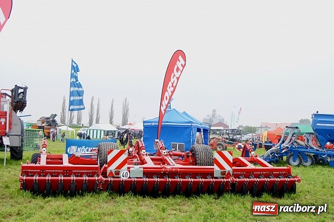 Zdjęcie w galerii na portalu naszraciborz.pl: Beet Europe – unikat na skalę światową wiadomości z regionu