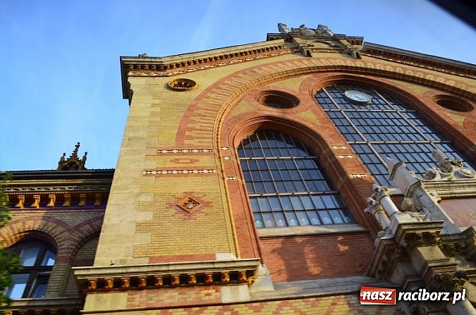 Zdjęcie w galerii na portalu naszraciborz.pl: Orkiestra RCK zagrała dla węgierskiej publiczności  wiadomości z regionu