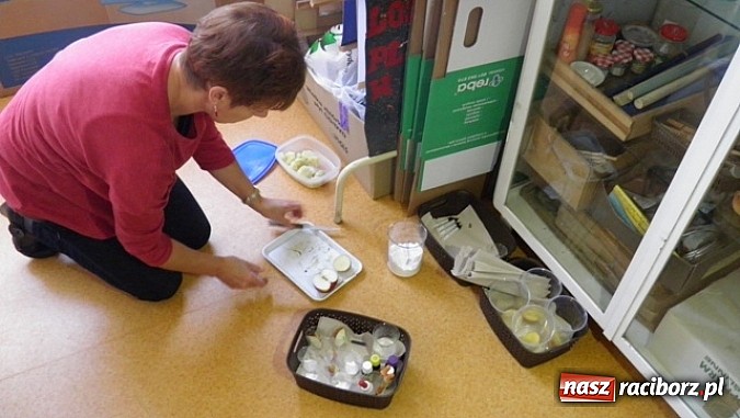 Zdjęcie w galerii na portalu naszraciborz.pl: Wiwat skrobia! ZSO w Kuźni Raciborskiej obchodziło święto ziemniaka wiadomości z regionu