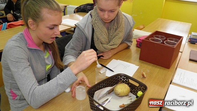 Zdjęcie w galerii na portalu naszraciborz.pl: Wiwat skrobia! ZSO w Kuźni Raciborskiej obchodziło święto ziemniaka wiadomości z regionu
