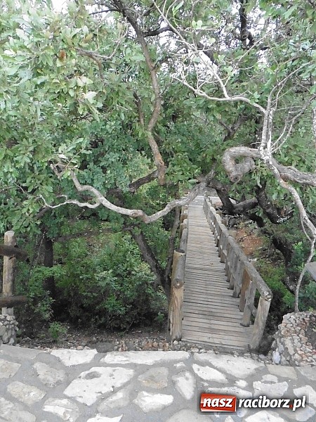 Zdjęcie w galerii na portalu naszraciborz.pl: Zesp&oacute;ł Raciborzanie koncertował w Meksyku wiadomości z regionu