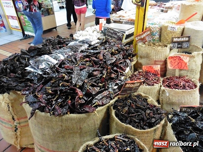 Zdjęcie w galerii na portalu naszraciborz.pl: Zesp&oacute;ł Raciborzanie koncertował w Meksyku wiadomości z regionu