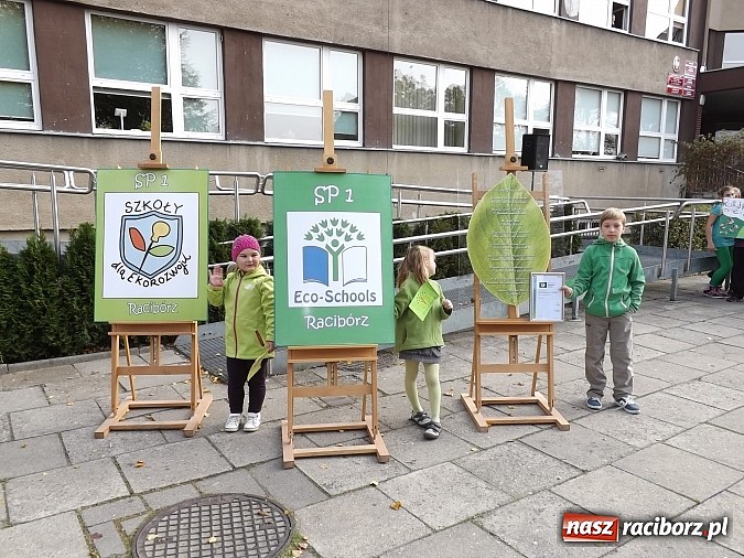 Zdjęcie w galerii na portalu naszraciborz.pl: Zielona flaga powiewa już nad SP 1 w Raciborzu wiadomości z regionu