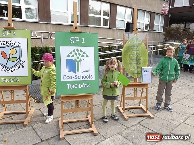 Zdjęcie w galerii na portalu naszraciborz.pl: Zielona flaga powiewa już nad SP 1 w Raciborzu wiadomości z regionu