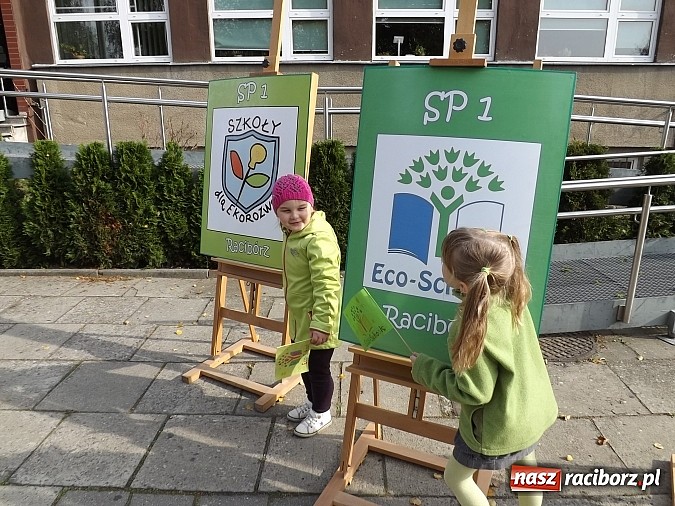 Zdjęcie w galerii na portalu naszraciborz.pl: Zielona flaga powiewa już nad SP 1 w Raciborzu wiadomości z regionu