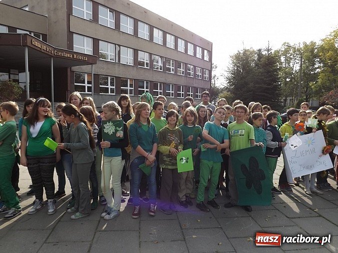 Zdjęcie w galerii na portalu naszraciborz.pl: Zielona flaga powiewa już nad SP 1 w Raciborzu wiadomości z regionu