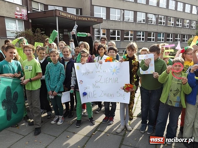 Zdjęcie w galerii na portalu naszraciborz.pl: Zielona flaga powiewa już nad SP 1 w Raciborzu wiadomości z regionu