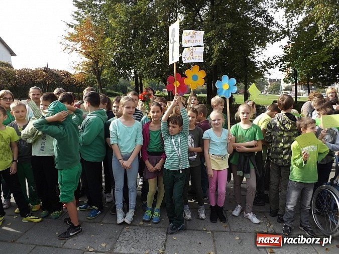 Zdjęcie w galerii na portalu naszraciborz.pl: Zielona flaga powiewa już nad SP 1 w Raciborzu wiadomości z regionu