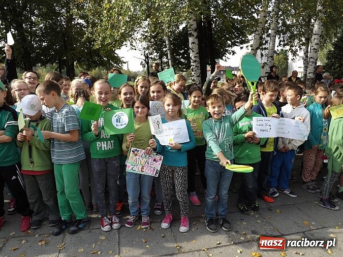 Zdjęcie w galerii na portalu naszraciborz.pl: Zielona flaga powiewa już nad SP 1 w Raciborzu wiadomości z regionu