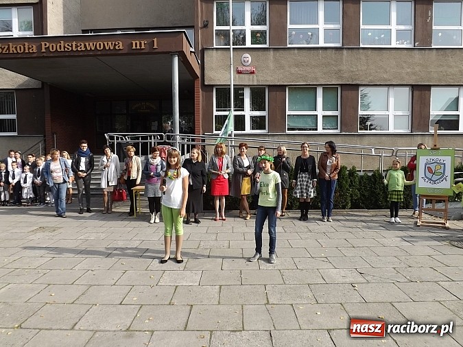 Zdjęcie w galerii na portalu naszraciborz.pl: Zielona flaga powiewa już nad SP 1 w Raciborzu wiadomości z regionu