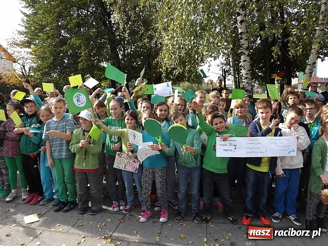 Zdjęcie w galerii na portalu naszraciborz.pl: Zielona flaga powiewa już nad SP 1 w Raciborzu wiadomości z regionu