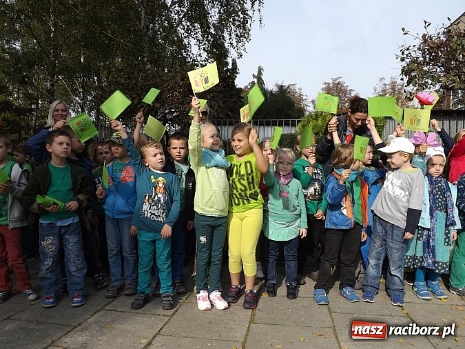 Zdjęcie w galerii na portalu naszraciborz.pl: Zielona flaga powiewa już nad SP 1 w Raciborzu wiadomości z regionu