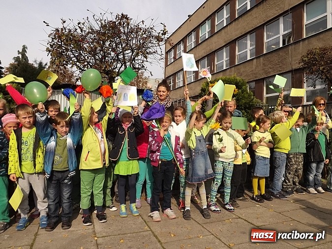 Zdjęcie w galerii na portalu naszraciborz.pl: Zielona flaga powiewa już nad SP 1 w Raciborzu wiadomości z regionu