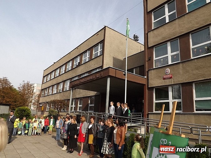 Zdjęcie w galerii na portalu naszraciborz.pl: Zielona flaga powiewa już nad SP 1 w Raciborzu wiadomości z regionu