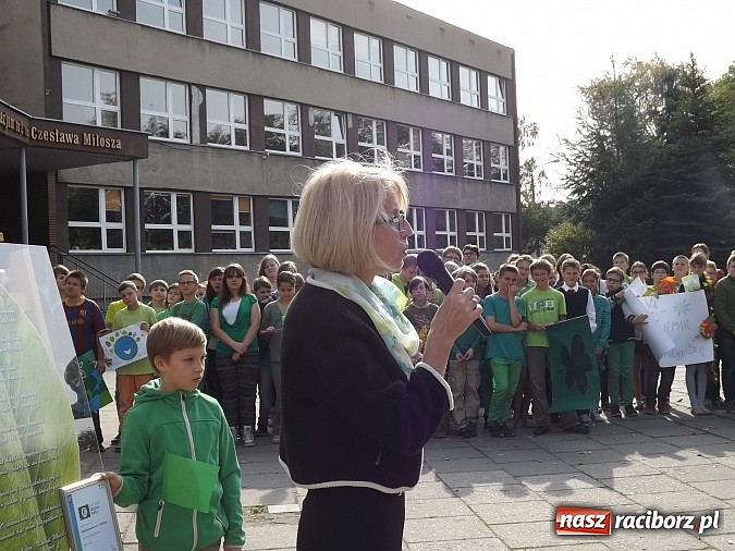 Zdjęcie w galerii na portalu naszraciborz.pl: Zielona flaga powiewa już nad SP 1 w Raciborzu wiadomości z regionu