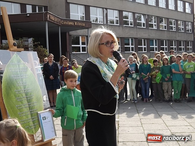 Zdjęcie w galerii na portalu naszraciborz.pl: Zielona flaga powiewa już nad SP 1 w Raciborzu wiadomości z regionu