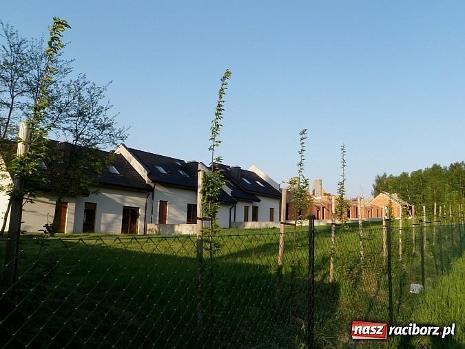 Zdjęcie w galerii na portalu naszraciborz.pl: Akacjowe Osiedle – blisko natury i miasta  wiadomości z regionu