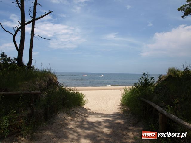 Zdjęcie w galerii na portalu naszraciborz.pl: PLEŚNA 2009 - fotoreportaż wiadomości z regionu