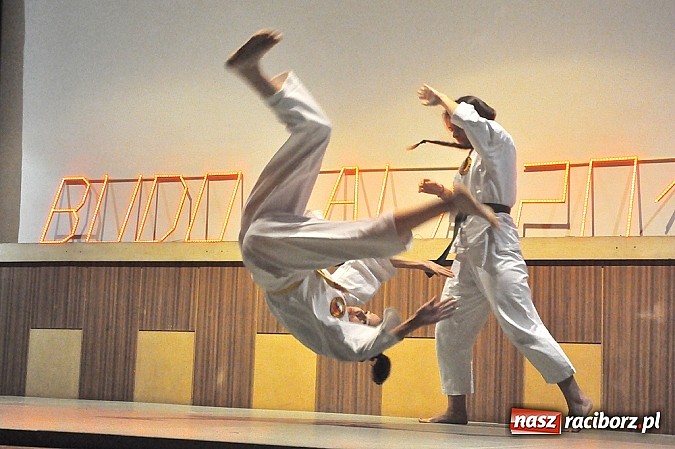 Zdjęcie w galerii na portalu naszraciborz.pl: Budo Gala 2014: Pokazy mistrz&oacute;w japońskich sztuk walki wiadomości z regionu