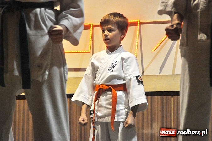 Zdjęcie w galerii na portalu naszraciborz.pl: Budo Gala 2014: Pokazy mistrz&oacute;w japońskich sztuk walki wiadomości z regionu