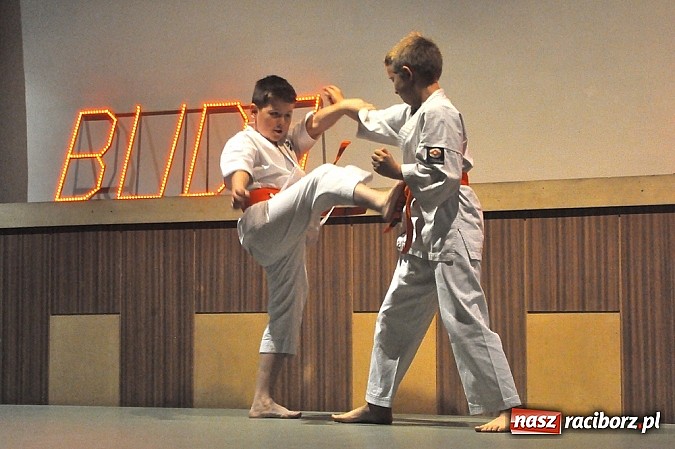 Zdjęcie w galerii na portalu naszraciborz.pl: Budo Gala 2014: Pokazy mistrz&oacute;w japońskich sztuk walki wiadomości z regionu