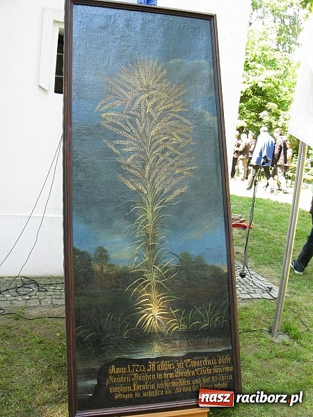 Zdjęcie w galerii na portalu naszraciborz.pl: Złoty kłos i wodna kaskada w Tworkowie. Jak przystało na XXI wiek  wiadomości z regionu