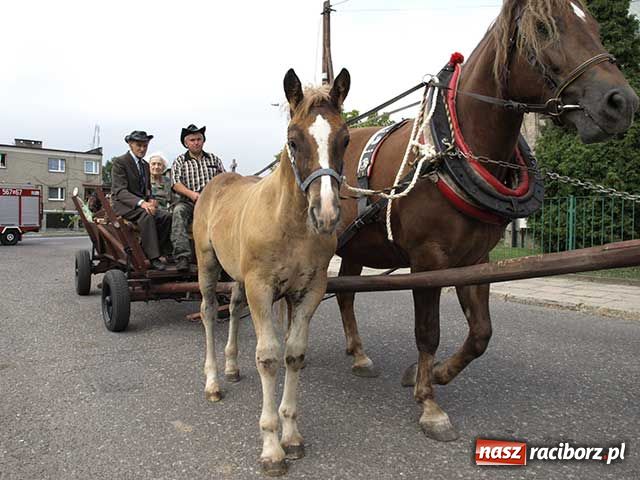 Zdjęcie w galerii na portalu naszraciborz.pl: Bieńkowicki żniwniok wiadomości z regionu