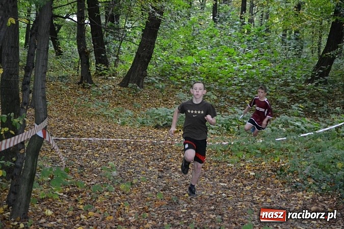Zdjęcie w galerii na portalu naszraciborz.pl: Rejonowe Sztafetowe Biegi Przełajowe w Tworkowie wiadomości z regionu