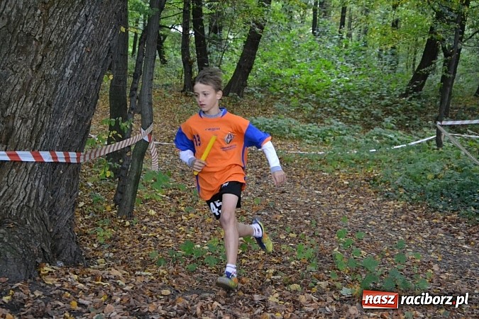 Zdjęcie w galerii na portalu naszraciborz.pl: Rejonowe Sztafetowe Biegi Przełajowe w Tworkowie wiadomości z regionu