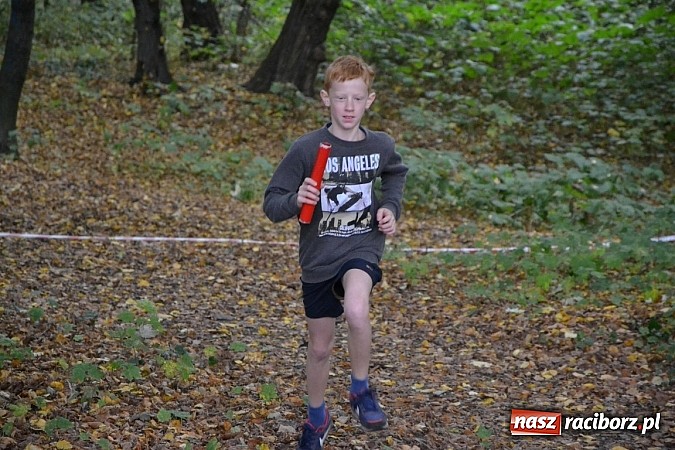 Zdjęcie w galerii na portalu naszraciborz.pl: Rejonowe Sztafetowe Biegi Przełajowe w Tworkowie wiadomości z regionu