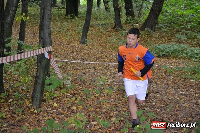 Zdjęcie w galerii na portalu naszraciborz.pl: Rejonowe Sztafetowe Biegi Przełajowe w Tworkowie wiadomości z regionu