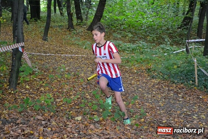 Zdjęcie w galerii na portalu naszraciborz.pl: Rejonowe Sztafetowe Biegi Przełajowe w Tworkowie wiadomości z regionu