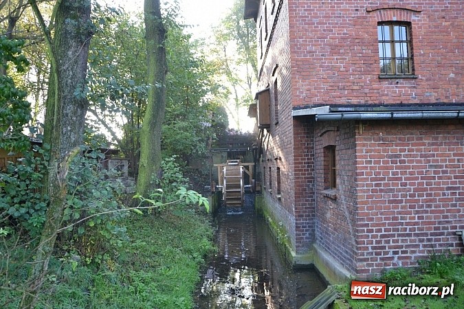 Zdjęcie w galerii na portalu naszraciborz.pl: Uroczyste uruchomienie koła młyńskiego przy zabytkowym młynie w Tworkowie wiadomości z regionu