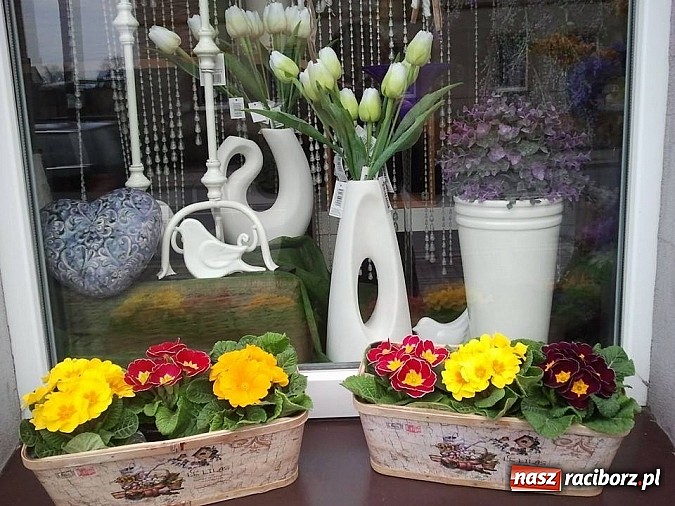 Zdjęcie w galerii na portalu naszraciborz.pl: Kwiaciarnia Lawender. Wiązanki robione z sercem wiadomości z regionu