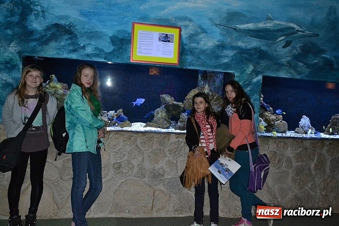 Zdjęcie w galerii na portalu naszraciborz.pl: Młodzi Niemcy odwiedzili swoich kolegów w Nędzy  wiadomości z regionu